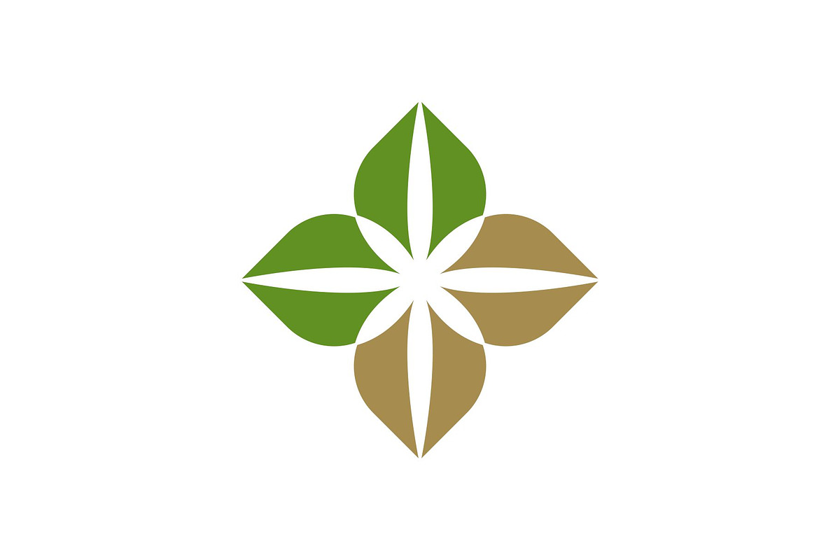 Gardening Star Leaf Logo, a Branding & Logo Template by Buqancreative (Photo 1 of 4)