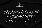 Romance Script Signature Font, a Script Font by WhymoreArt (Thumbnail 7 of 8)