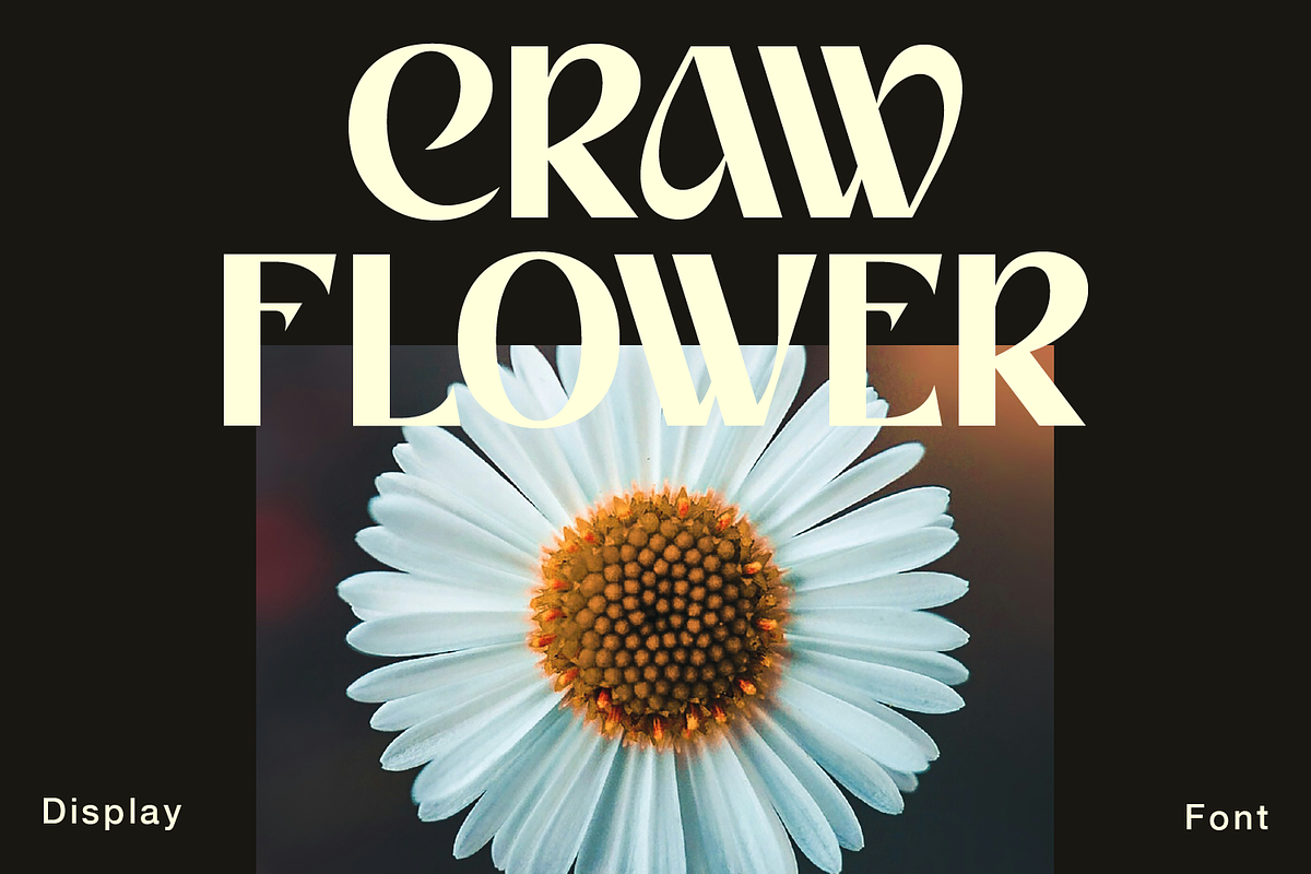 Croway, a Sans Serif Font by Zaloma Studio (Photo 9 of 20)
