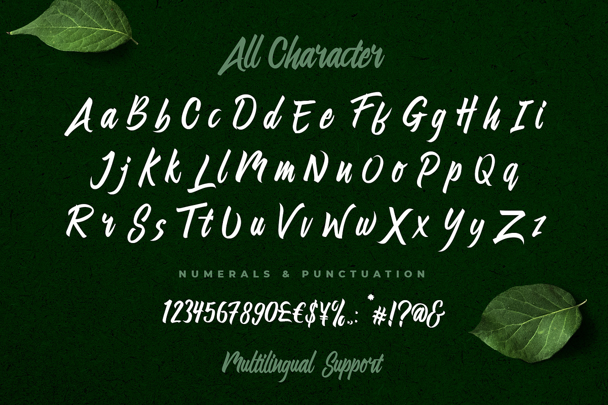 Linimasa - Modern Script Font, a Script Font by edukka (Photo 3 of 11)