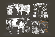 Cows and Milk. Hand drawn Vector set, an Animal Illustration by Alltruecolours (Thumbnail 6 of 6)