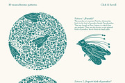 Bird-of-Paradise patterns, a Pattern Graphic by Piñata (Thumbnail 2 of 13)