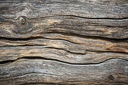 varied wood grain bundle, a Texture Graphic by VetalStock (Thumbnail 11 of 12)