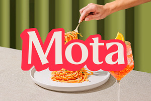 ZT Mota