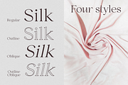 Selna, a Serif Font by Larin Type Co. (Thumbnail 3 of 15)