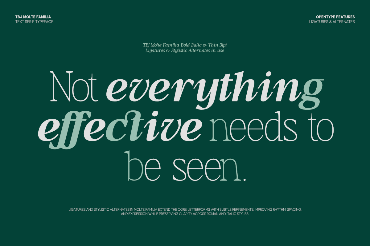 TBJ Moltefamilia Serif italic, a Serif Font by Taboja Studio (Photo 7 of 15)