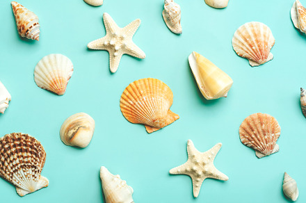 Summer holiday concept, a Holiday Photo by esthermm
