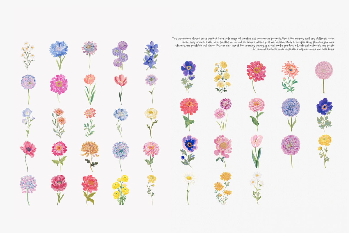 watercolor floral clipart bundle, a Decorative Illustration by Patishop Art (Photo 8 of 9)