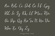 Vingiloth Handwritten Script, a Script Font by Mr.Typeman (Thumbnail 2 of 8)