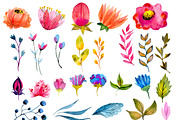 Big watercolor floral collection, an Illustration by JaneLane (Thumbnail 2 of 3)