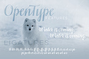 Siberius Clean Script Typeface, a Script Font by lissius (Thumbnail 3 of 9)