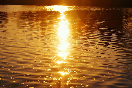 The sun reflects brightly on the cal, a Photo by Iftikhar Alam