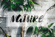 Luuna. Emotional Brush Font, a Script Font by Wewhitelist (Thumbnail 7 of 7)