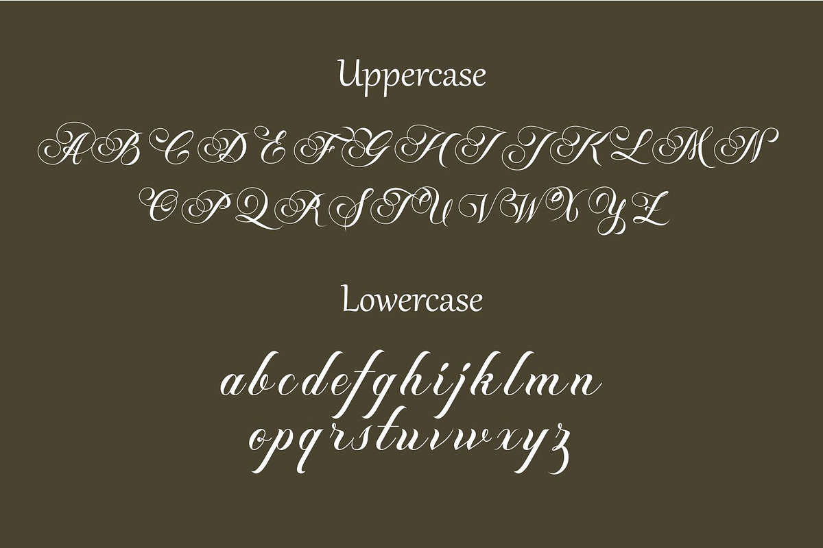 Blinka Bold Script Serif Font Duo, a Script Font by WhymoreArt (Photo 10 of 11)