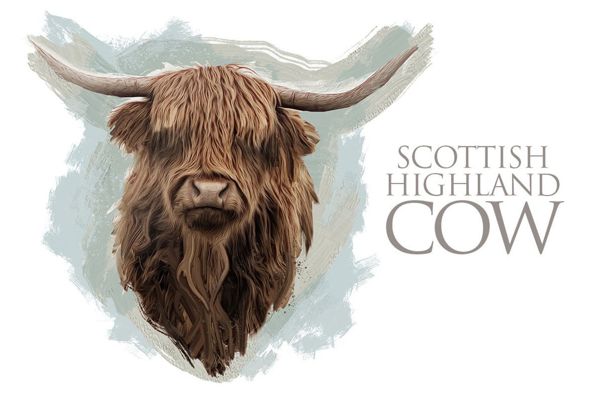 Scottish Highland Cow, an Animal Illustration by Digital Art Downloads (Photo 1 of 2)