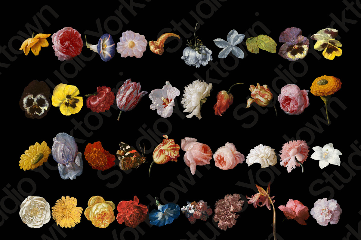 Kurohana Painted Florals Collection, an Illustration by Studio Yorktown (Photo 2 of 13)