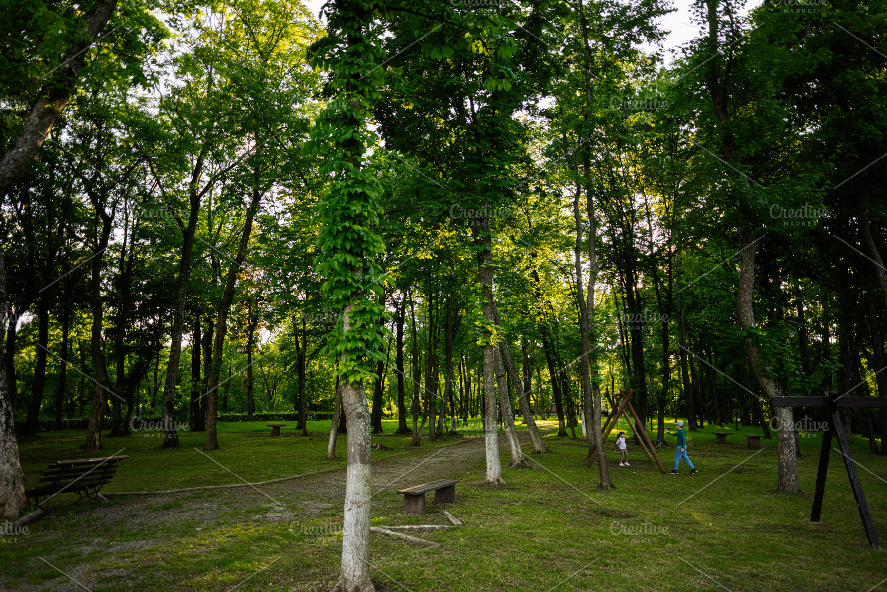 Peaceful park with walking paths surrounded by lush green trees and vegetation, a Person Photo by AS photostudio
