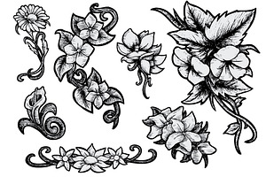 Flowers - Hand Drawn