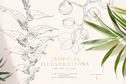 Tropical paradise. Line art set, an Illustration by Pamyatka Shop (Thumbnail 2 of 13)