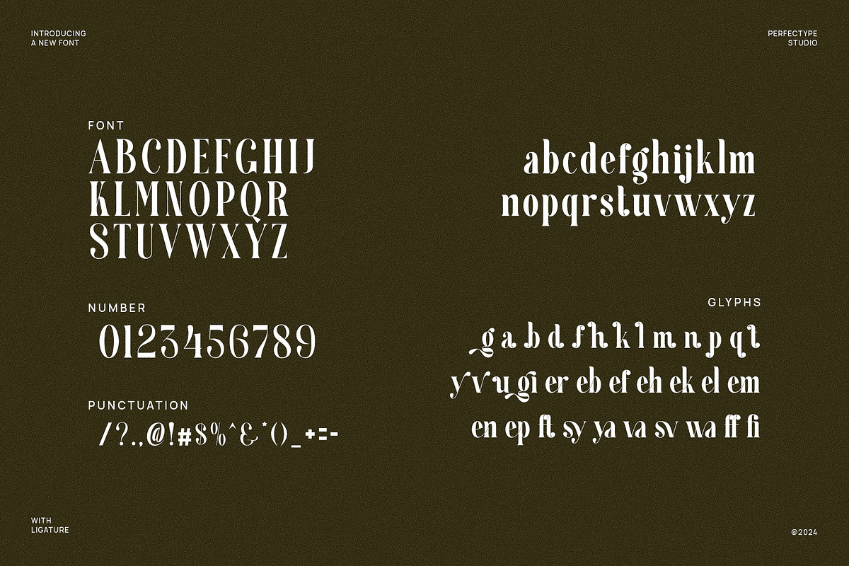 Cergian Elegant Ligature Serif Font, a Serif Font by Perfectype (Photo 6 of 6)