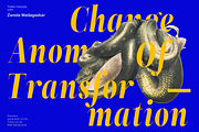 ZT Neue Ralewe Luxury Serif 90 Font, a Serif Font by zelow type (Thumbnail 15 of 24)