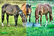 HDR Photoshop Actions 345 Bundle, an Action Add-On by ARTNEST (Thumbnail 8 of 11)