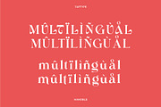 Hanoble - Modern Ligature Serif, a Serif Font by Vesvocrea (Thumbnail 8 of 13)