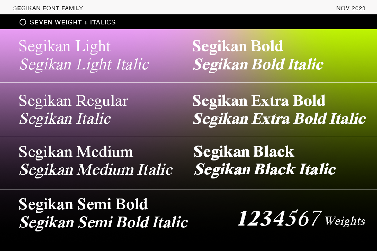 Segikan | SALE 60% OFF, a Serif Font by Areatype (Photo 4 of 16)