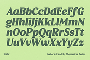 Aveburg Grande - Retro Chunk, a Serif Font by Shapespired Design (Thumbnail 19 of 22)