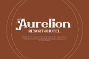 Zellique - Modern Serif Font, a Serif Font by Rishsketch (Thumbnail 7 of 15)