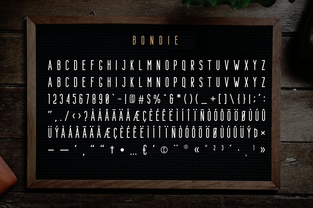 Larissa - Handwritten Font + Bonus, a Script Font by Craft Supply Co. (Photo 9 of 10)