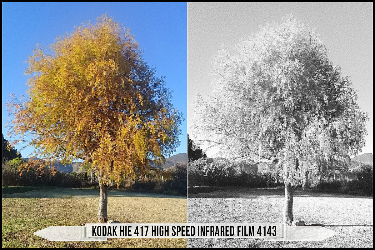 Eastman Kodak Black White Films LUTs, a Plug-in Add-On by Raztrend (Photo 4 of 30)