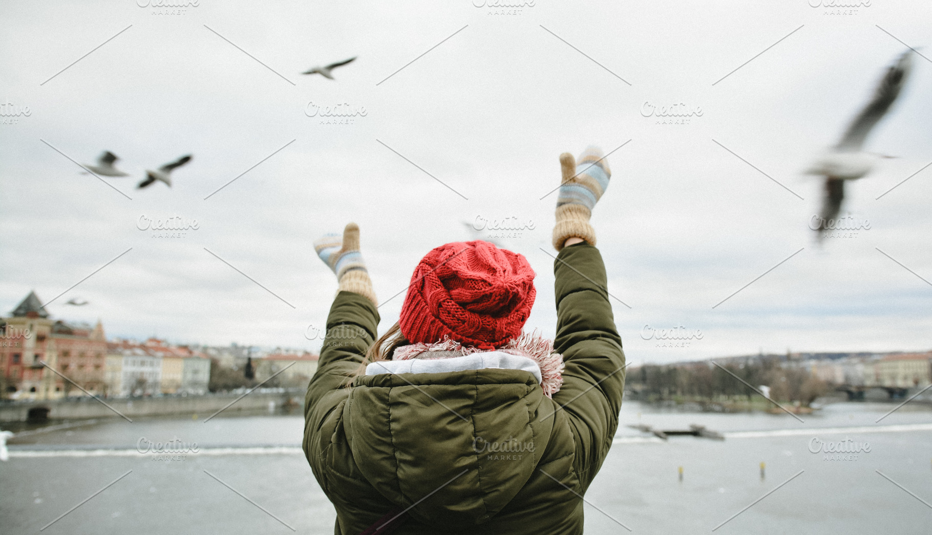 A girl Feeding Seagulls, a Person Photo by Pro.Motion