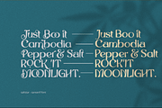 Saltstar Font, a Sans Serif Font by Grontype (Thumbnail 11 of 12)