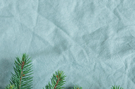 Spruce twigs on the green linen crumpled textile background, a Holiday Photo by Olena Rudo