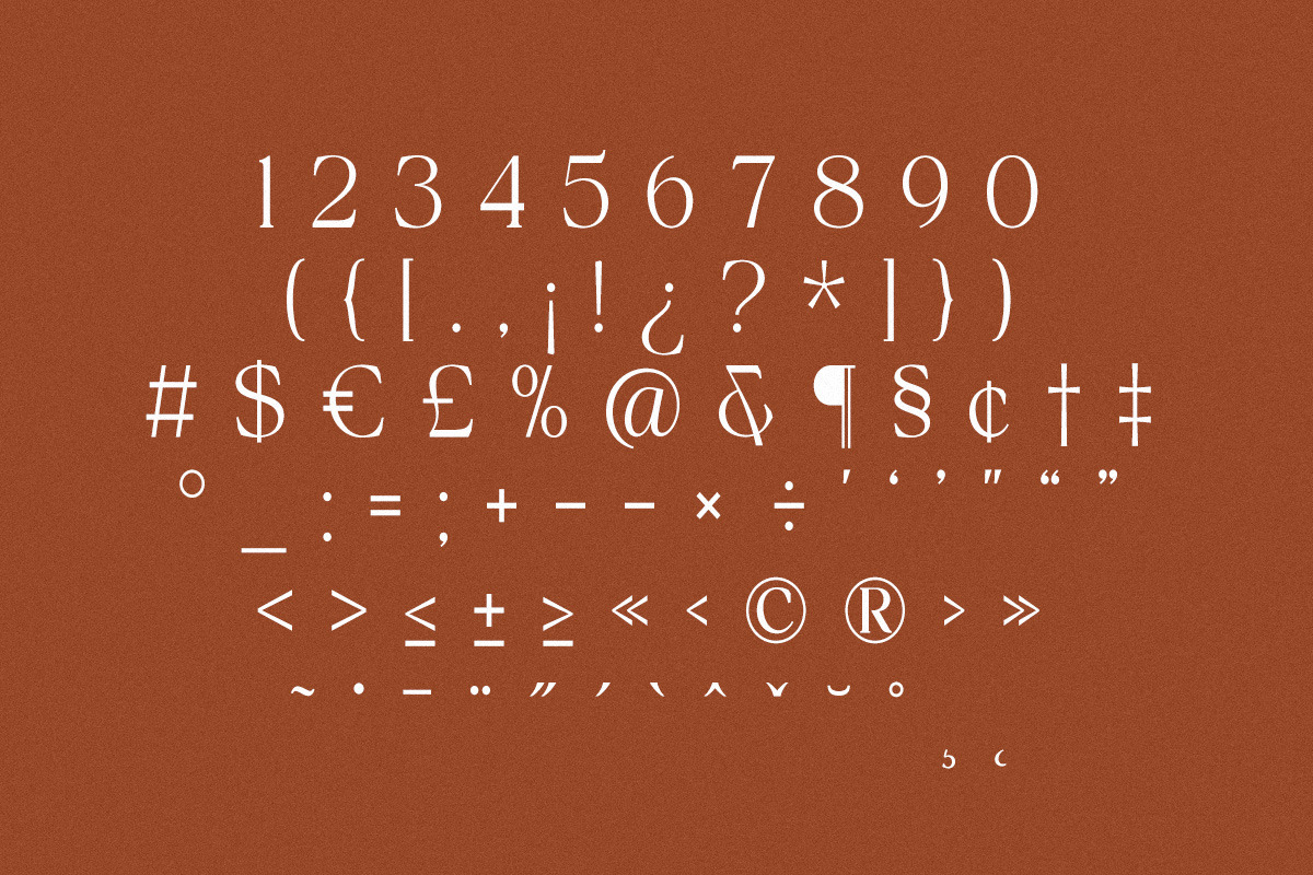 The Bilstein Editorial, a Serif Font by Pista Mova (Photo 20 of 20)