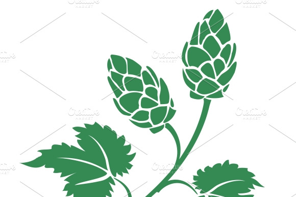 Green Vector Hops Icon