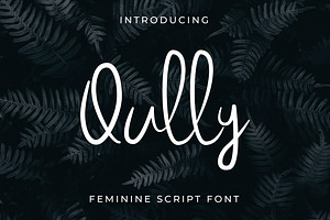 Qully Handwritten Script Font