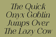 Nerilla Pixel, a Serif Font by Craft Supply Co. (Thumbnail 6 of 8)