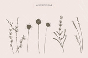 Organic Botanicals & Logo Designs, an Illustration by amber&ink (Thumbnail 6 of 17)