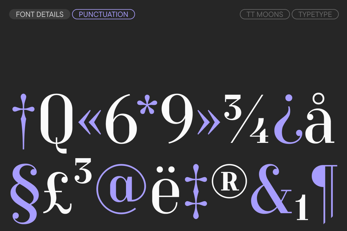 TT Moons, a Serif Font by TypeType (Photo 12 of 12)