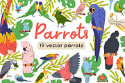 Tropical jungle parrot birds set, an Animal Illustration by Good Studio (Thumbnail 1 of 5)