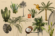 Vintage Vacay Collage: 90+ Elements, an Object Graphic by SHOOM HOUSE (Thumbnail 5 of 11)
