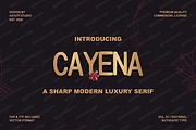 Cayena - Modern Serif, a Serif Font by Astuti Studio (Thumbnail 3 of 25)