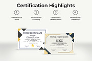 Certificate of Stock Canva Template, a Card Template by Snapybiz (Thumbnail 7 of 10)