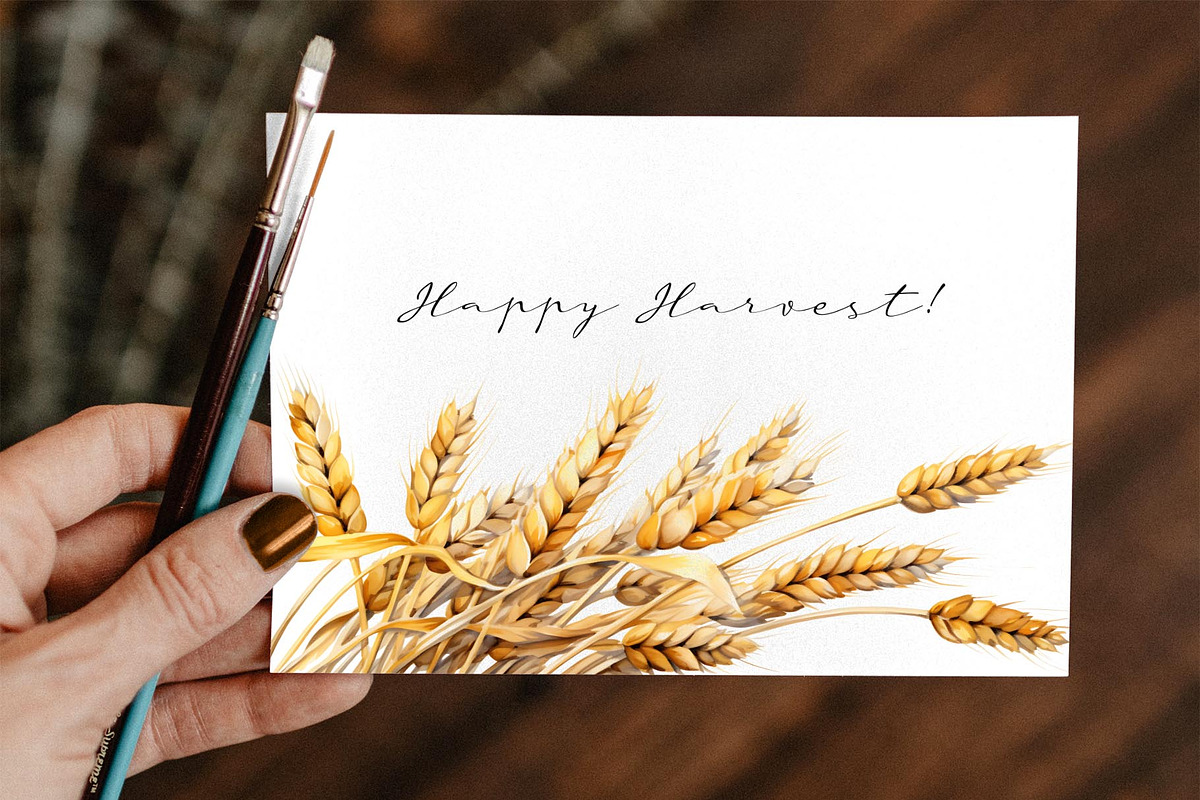 Wheat Watercolor Clipart, an Illustration by Anny Sketches (Photo 3 of 7)