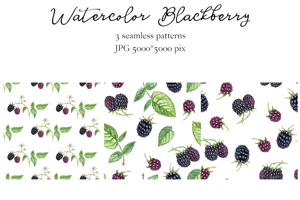 Watercolor Blackberry, a Food Illustration by cat_arch_angel (Photo 3 of 3)