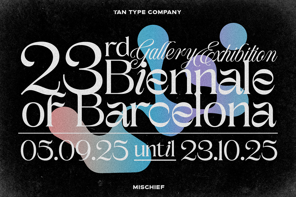 TAN - MISCHIEF, a Font by TanType (Photo 10 of 11)