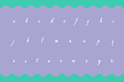 Pen Swan, a Script Font by Great Lakes Lettering (Thumbnail 5 of 11)