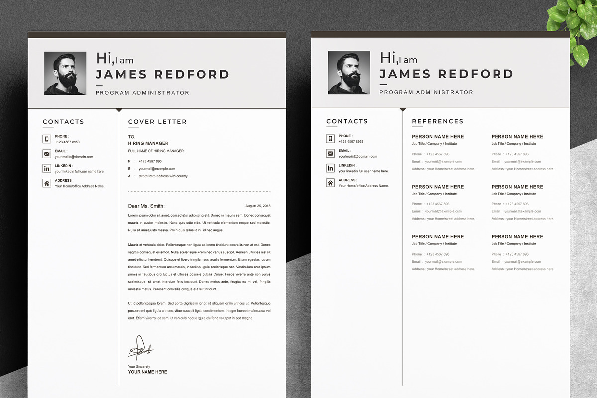JOB WINNING RESUME - 50 TEMPLATES, a Resume Template by ResumeInventor (Photo 133 of 184)